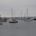 Monterey Fisherman’s Wharf (#1240)