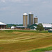 Dairy Farms - Ontario