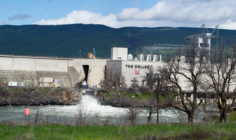 The Dalles Dam (#0320)