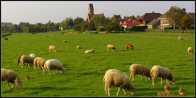 Church Bingelrade -Sint Lambertus