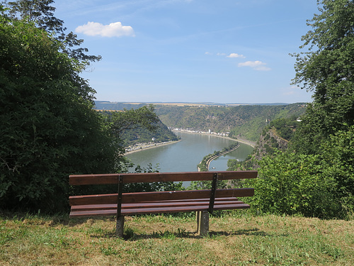Blick auf den Rhein mit Loreley