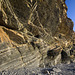 Folded and inverted turbidites at Millook Haven, Cornwall