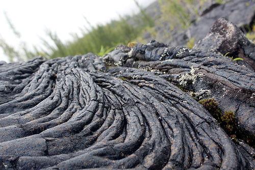 Rippled and Rolled Lava
