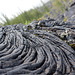 Rippled and Rolled Lava
