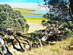 Above Papatea Bay