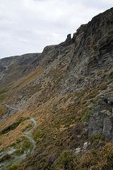 The Strangles cliffs, near Crackington Haven, North Cornwall