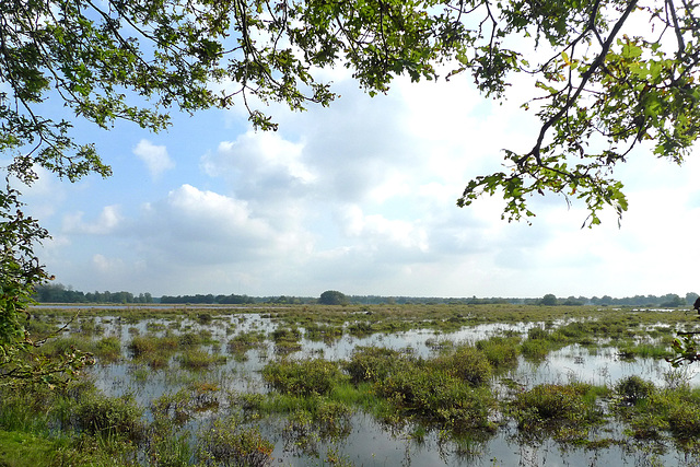 Nederland - Drents-Friese Wold