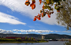 Autumn's first touch Drammen