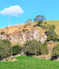Near Te Awamutu