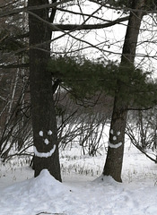Smiling trees-2021 Feb 5