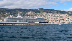 Cruise liner in Funchal harbour