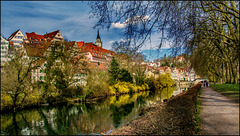 Frühlingsbeginn am Neckar