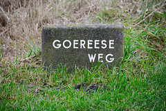 Goedereede 2018 – Goereeseweg