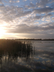 Lake Cecil's awakening / Le réveil du Lac Cécile
