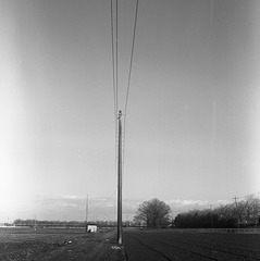 Telephone pole