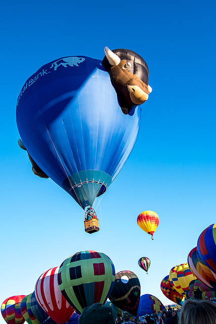 Albuquerque balloon fiesta9