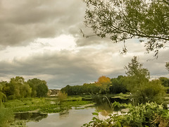 Lliswerry Pond