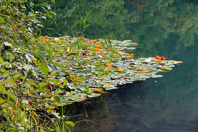 Herbst am Kleinen Montiggler See - (PIP)