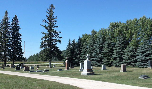 Funeral meadows / Prairies funéraires