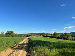 The path through the fields.