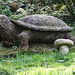 20140928 5556VRAw [D~SHG] Schildkröte, Skulptur, Paschenburg/Pagenburg, Rinteln, Schaumburg
