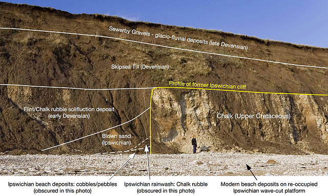 Sewerby cliff interpretation