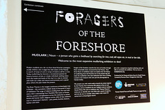 IMG 6267-001-Foragers of the Foreshore
