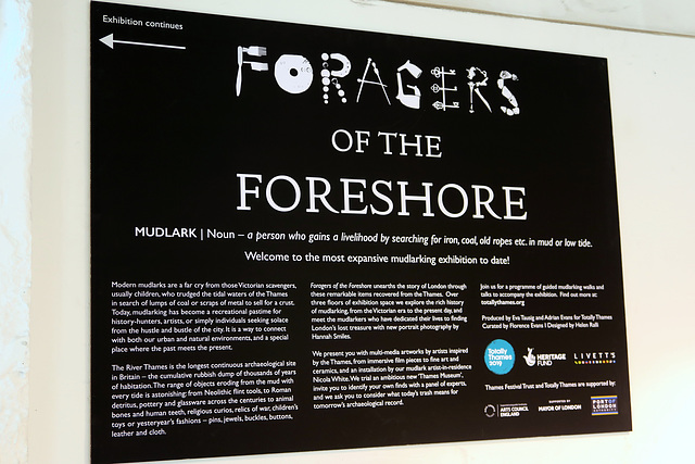 IMG 6267-001-Foragers of the Foreshore