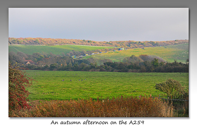 An autumn afternoon on the A259 - Sussex - 2.11.2015