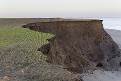 Narrowing the field - very recent coastal erosion at Skipsea, East Yorkshire