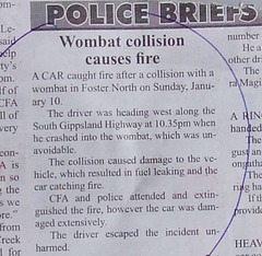 "wombat collision causes fire"