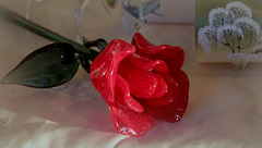 Rose rouge verre