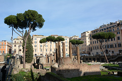 Roma, Rovine Romane a Largo di Torre Argentina