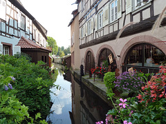 Wissembourg neben dem Touristenstrom