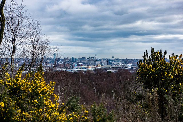 Liverpool waterfront from Bidston Hill2