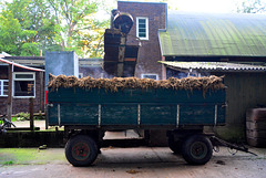 Aumühle 2015 – A cart of horse manure