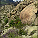 Sierra de La Cabrera, granite