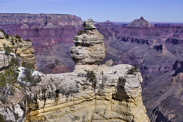 "Duck on a Rock" – Grand Canyon Village, Grand Canyon, Arizona