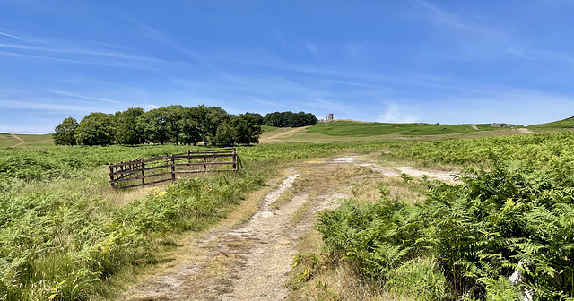 HFF Bradgate Leicestershire 2nd July 2022