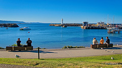 Wollongong harbour