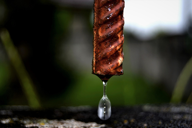 Water dripping off the bottom of a steel fence in the rain!