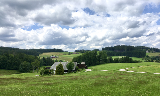Urlaubsgrüße aus dem Schwarzwald