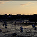 Roscoff at sunset (please enlarge)