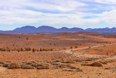 P1270347- Stokes Hill Lookout - Flinders Ranges.  08 mars 2020