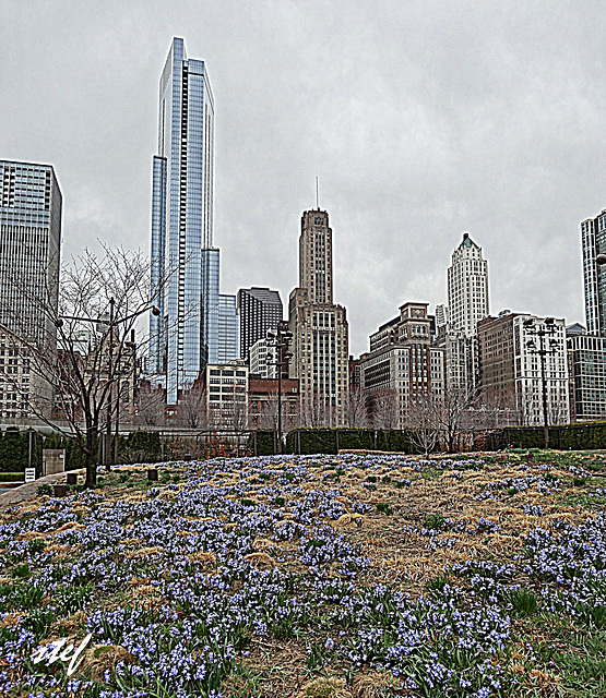 spring signs in Chicago