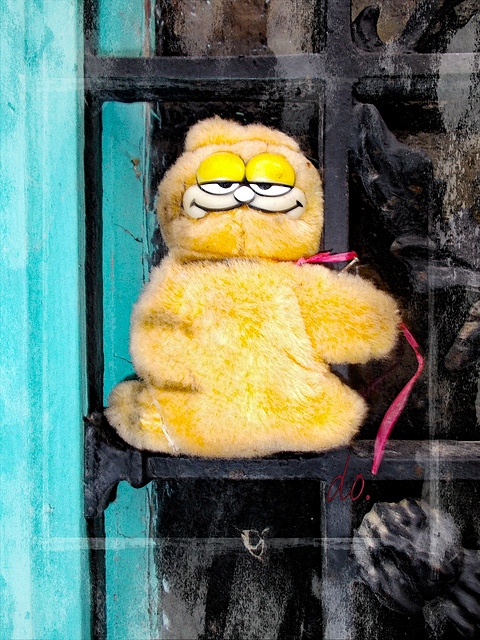 Garfield on the door 2