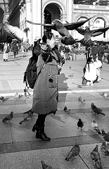 dances  with pigeons