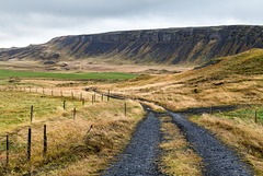 Icelandic fence
