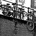 Amsterdam   bike fence