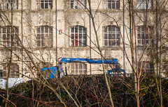 Ashton Mill Windows